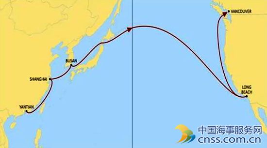 MSC：Maple航线增挂温哥华港