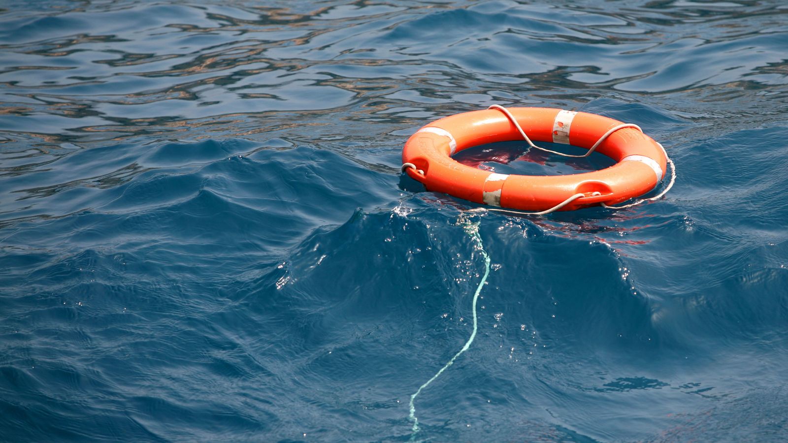 集装箱船MSC Giannina船长离奇失踪